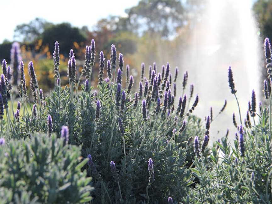 The Bath House Garden, Oakhampton Heights, NSW