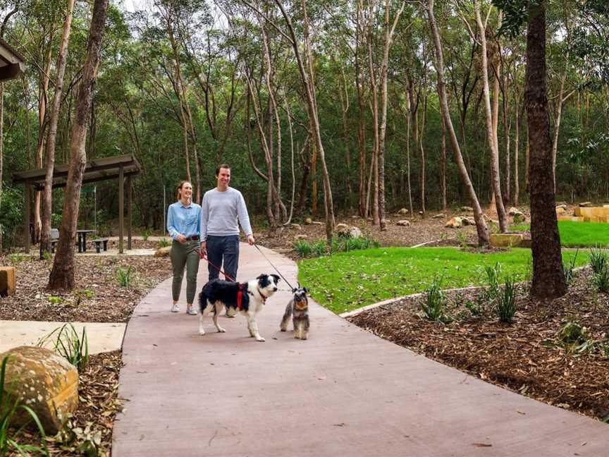 Denmark Hill Conservation Reserve, Ipswich, QLD