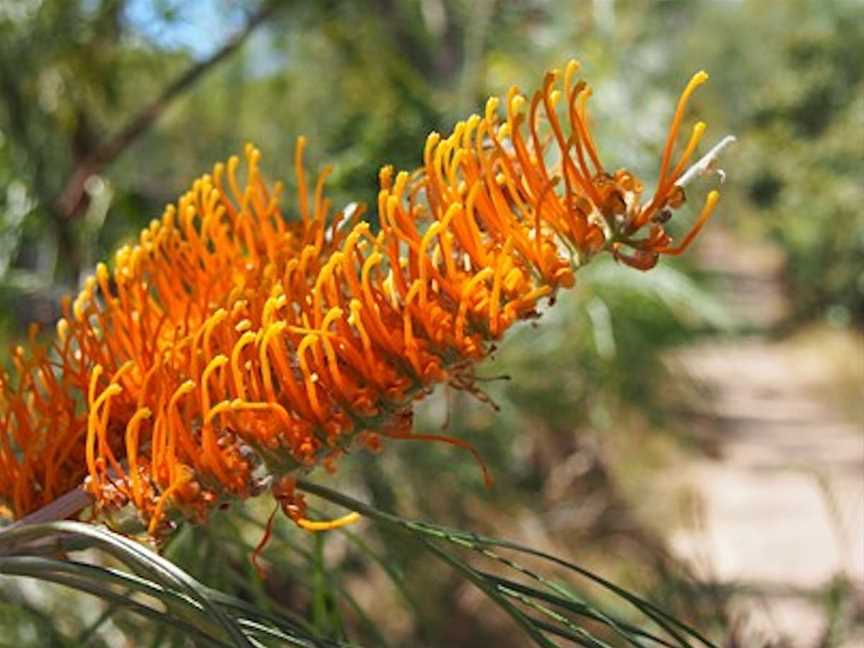 Umbrawarra Gorge Nature Park, Pine Creek, NT