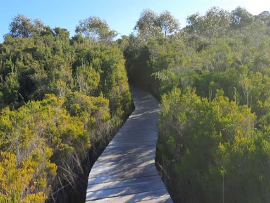 Winifred Curtis Reserve, Scamander, TAS