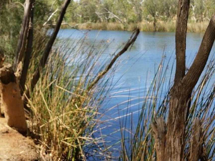 Ellendale Pool, Geraldton, WA