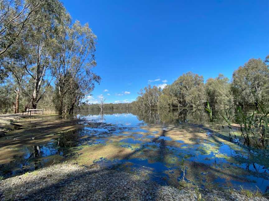 Wonga Wetlands, Albury, NSW