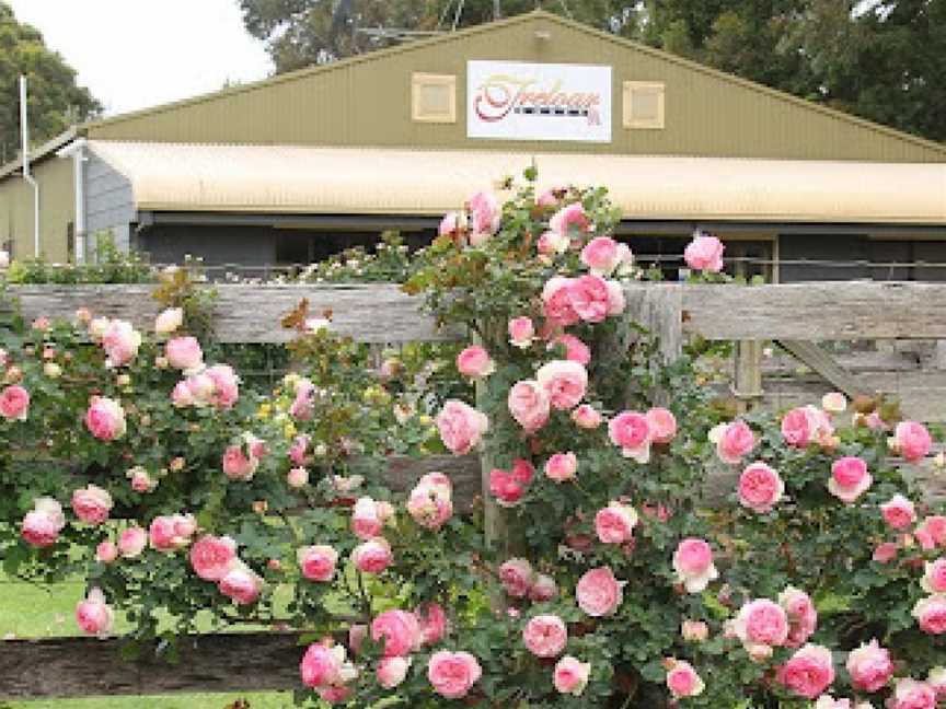 Treloar Roses Display Garden, Bolwarra, VIC