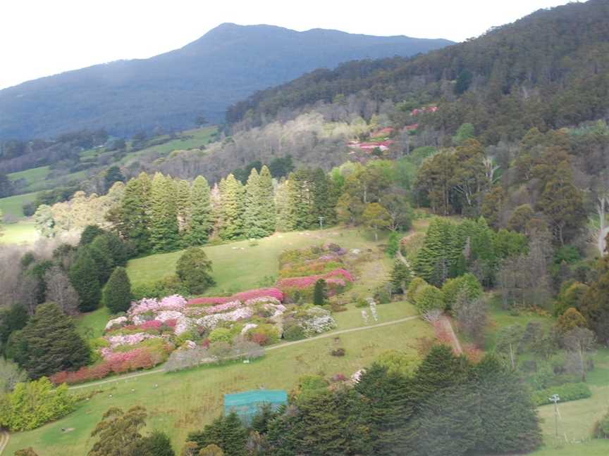 Lalla Flower Farm, Lalla, TAS