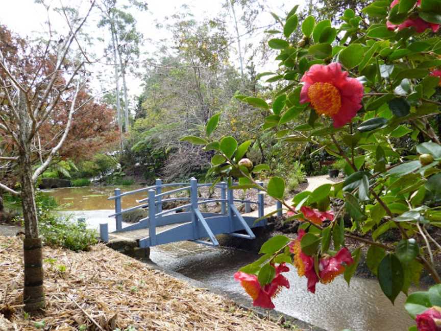 Tamborine Mountain Regional Botanic Gardens, Tamborine Mountain, QLD