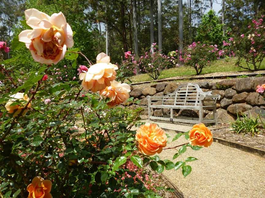 Tamborine Mountain Regional Botanic Gardens, Tamborine Mountain, QLD