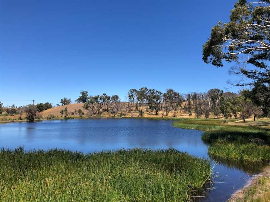 Lobethal Bushland Park, Lobethal, SA