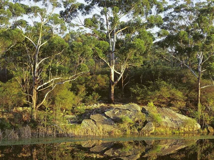 Lake Parramatta Reserve and recreation area, North Parramatta, NSW