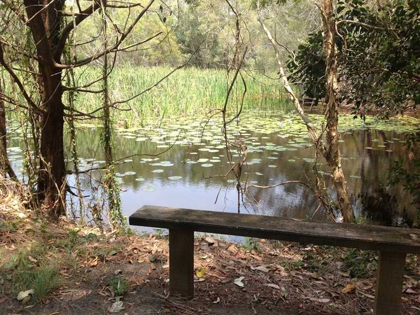 Arkarra Lagoons and Tea Gardens, Hervey Bay, QLD