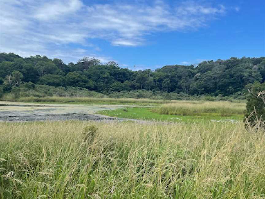 Jerrara Wetlands, Jerrara, NSW