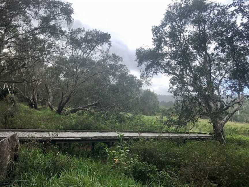 Eagleby Wetlands, Eagleby, QLD