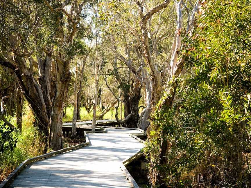 Eagleby Wetlands, Eagleby, QLD