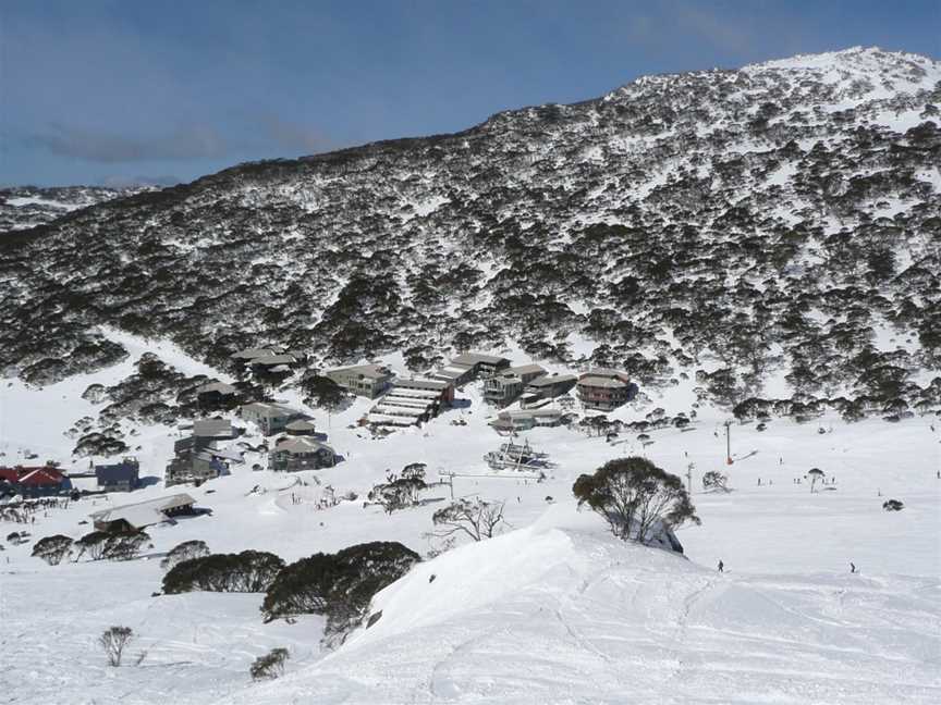 Snowy Wilderness, Jindabyne, NSW