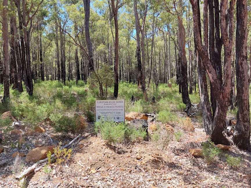 Grevillea Park, Dalby, QLD