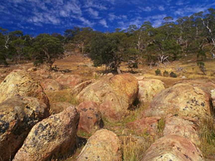 Goldfields Track, Ballarat East, VIC