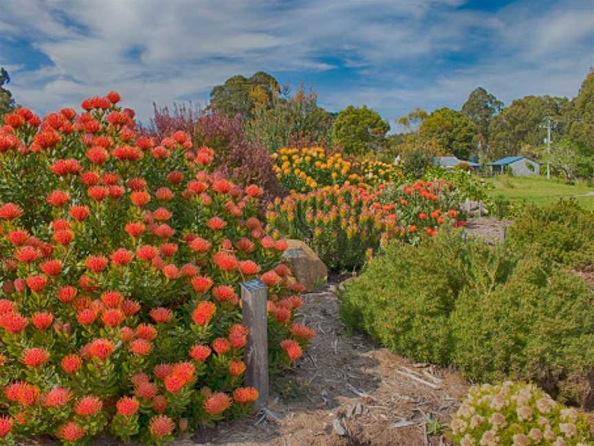 Inala Jurassic Garden and Nature Museum, South Bruny, TAS