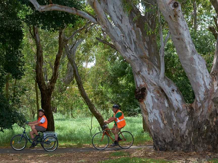 Seven Creeks Walking Track, Euroa, Euroa, VIC