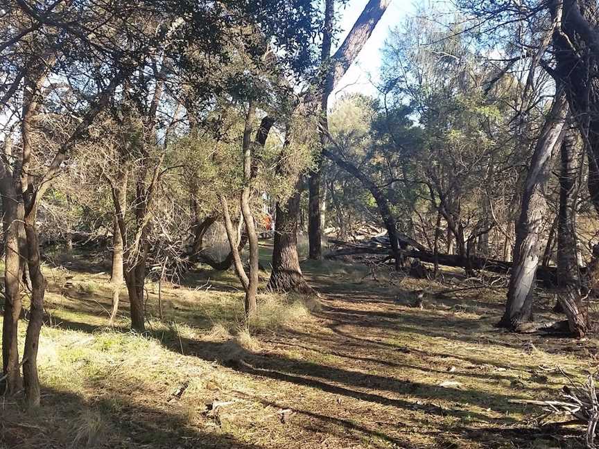 The Hamilton Bandicoot Wildlife Walk, Hamilton, VIC