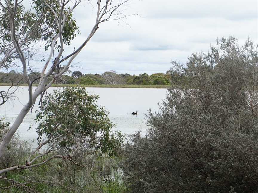 The Hamilton Bandicoot Wildlife Walk, Hamilton, VIC