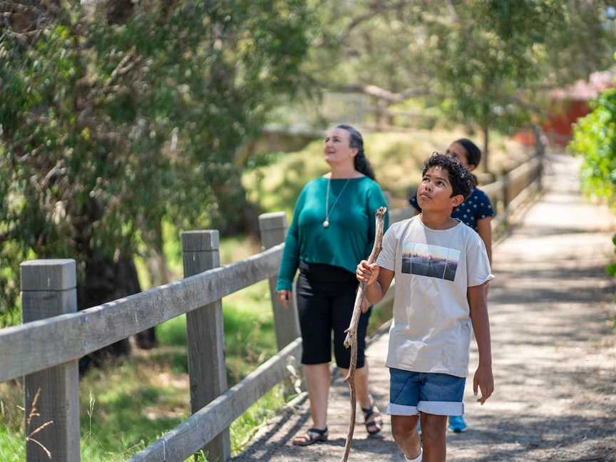 Bush Tucker Trail, Jerilderie, NSW