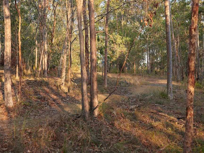 Grande Park, Springfield Lakes, QLD