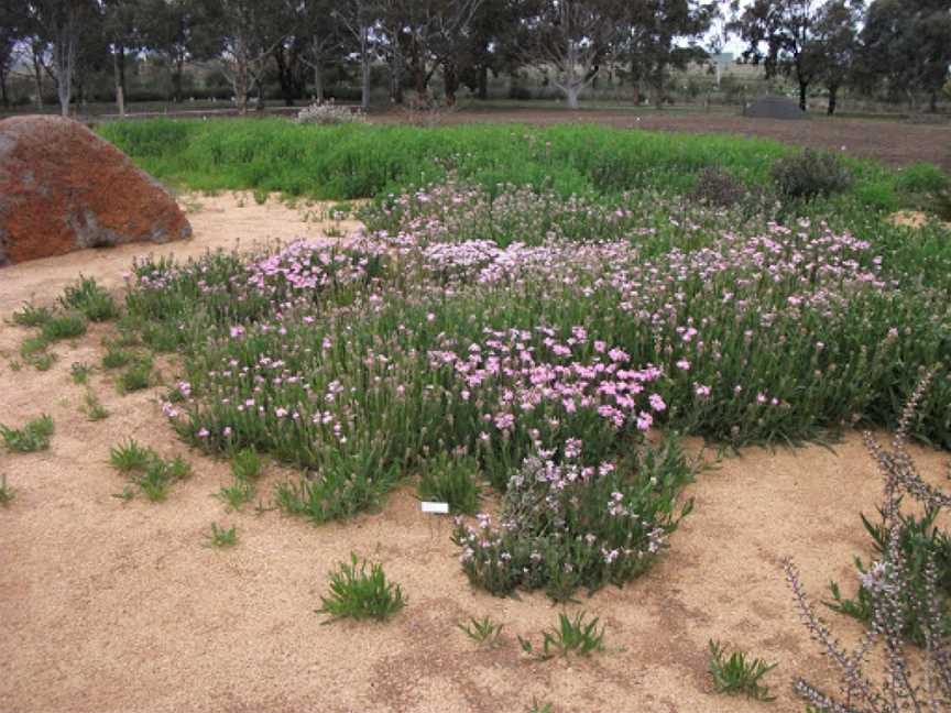 Melton Botanic Garden, Melton, VIC