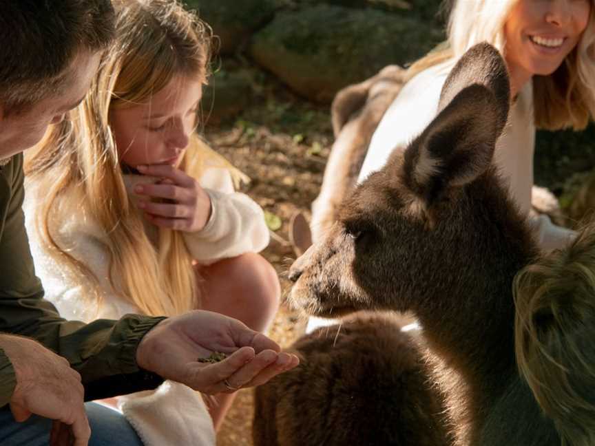 Byron Bay Wildlife Sanctuary, Knockrow, NSW