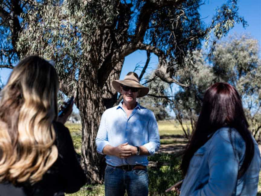 Restdown Wines and Walking Trail, Deniliquin, NSW