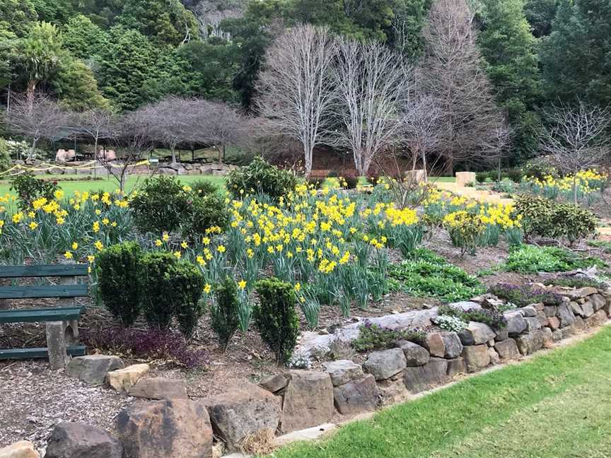 Illawarra Rhododendron and Rainforest Garden, Mount Pleasant, NSW