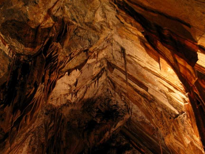 Gunns Plains Caves, Gunns Plains, TAS