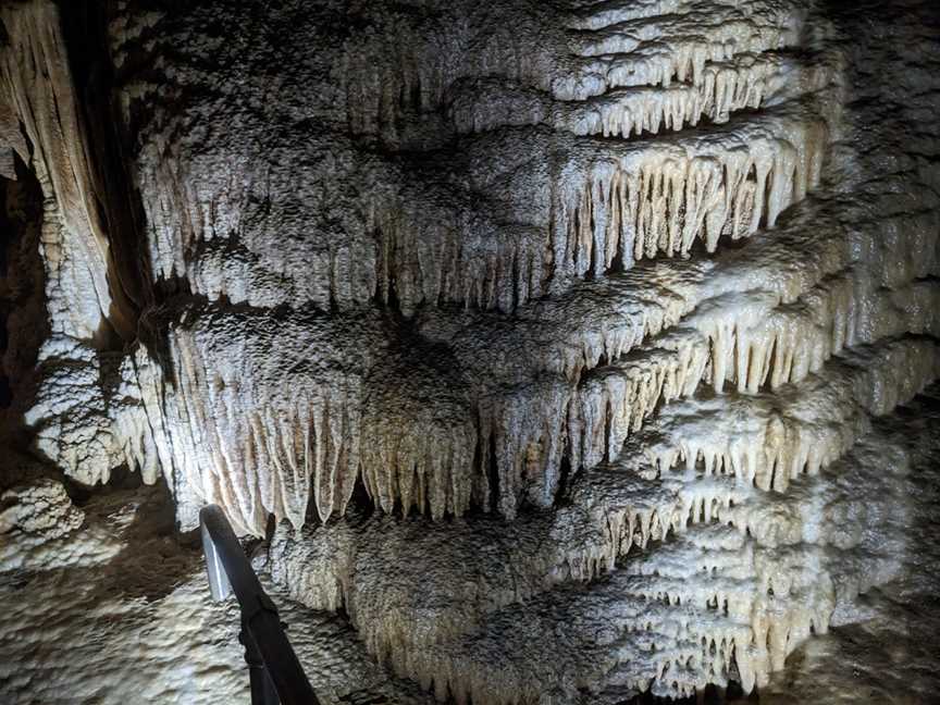 Gunns Plains Caves, Gunns Plains, TAS