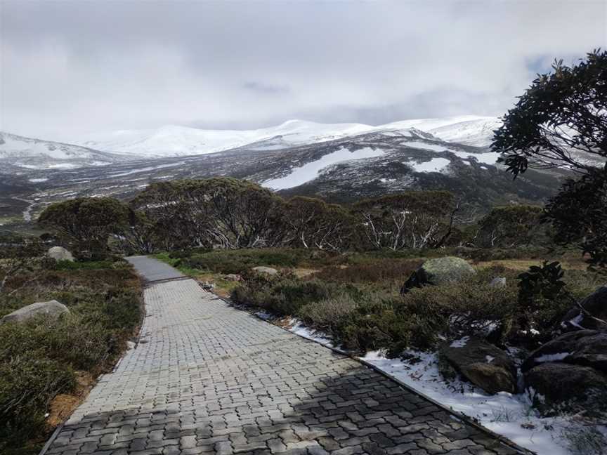 Snow Gums boardwalk, Jindabyne, NSW