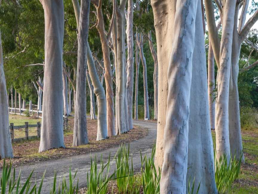 Cruden Farm, Langwarrin, VIC