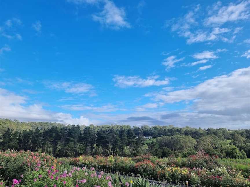 Glenbernie Family Farms, Kurmond, NSW