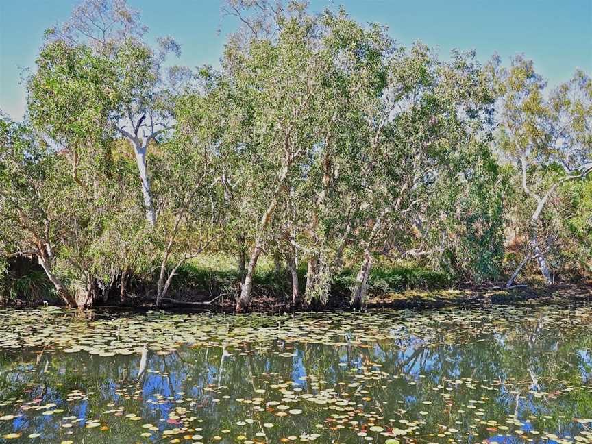 Caranbirini Conservation Reserve, McArthur, NT