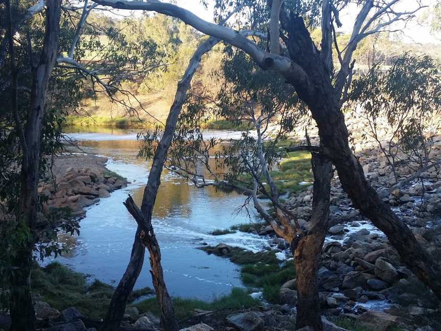 Bilya Walk Track, Toodyay, WA