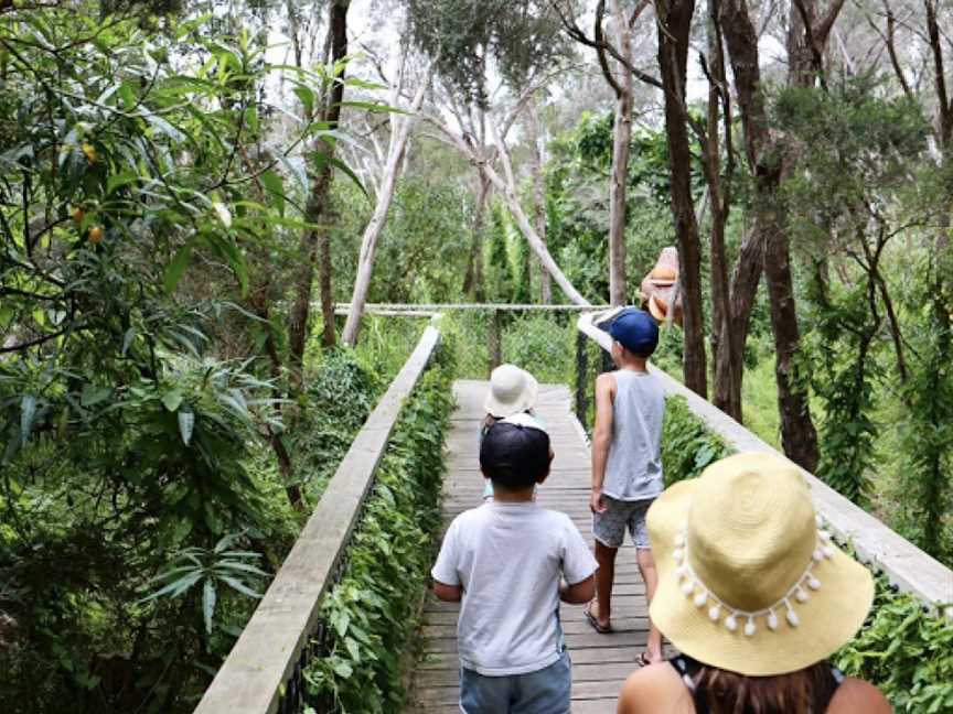 Boneo Discovery Park, Fingal, VIC