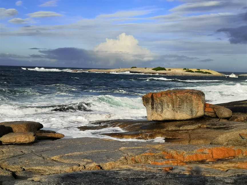 Peggy's Point Bicheno - East Coast Whale Trail, Bicheno, TAS