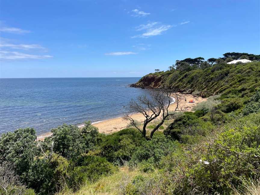 Royal Beach, Mornington, VIC