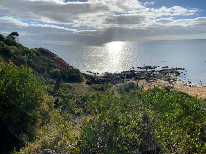 Royal Beach, Mornington, VIC