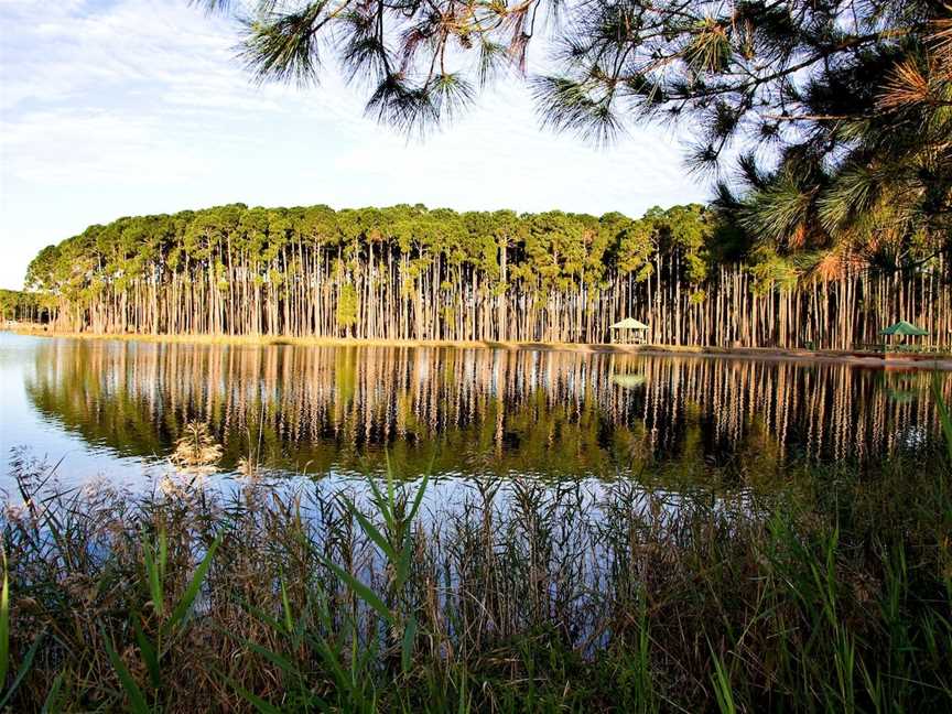 Pizzey Park, Mermaid Waters, QLD