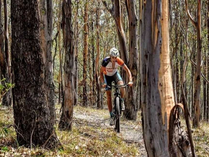 Dungog Common Recreation Reserve, Dungog, NSW