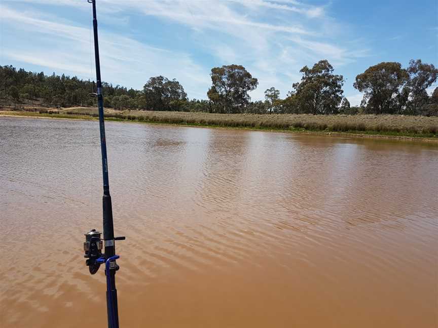 Company Dam, Grenfell, NSW