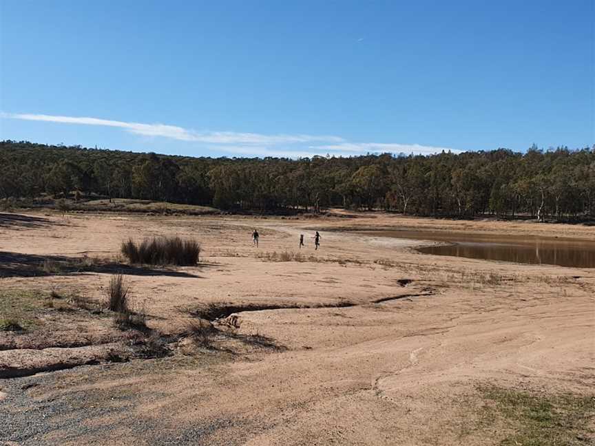 Company Dam, Grenfell, NSW