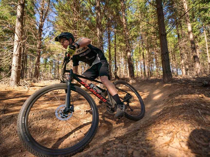 Mountain Bike Trails Tumbarumba, Tumbarumba, NSW