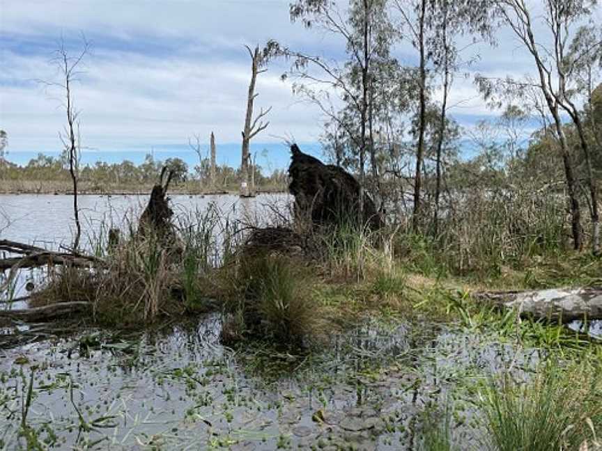 Gunbower Island Forest Drive, Cohuna, VIC