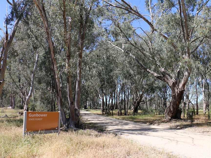 Gunbower Island Forest Drive, Cohuna, VIC