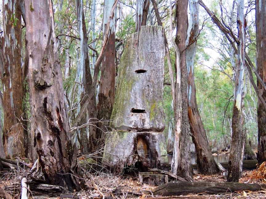 Gunbower Island Forest Drive, Cohuna, VIC