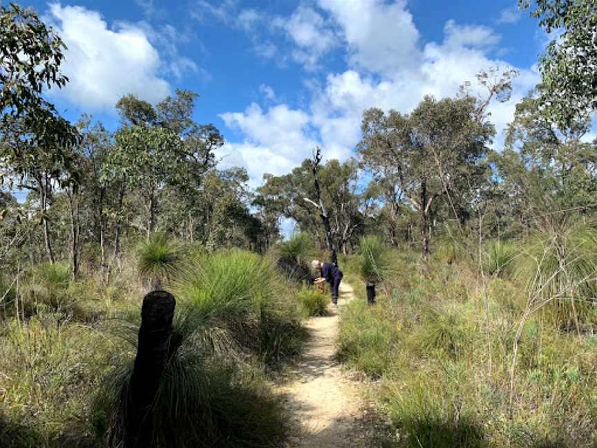 Ambergate Reserve, Chapman Hill, WA