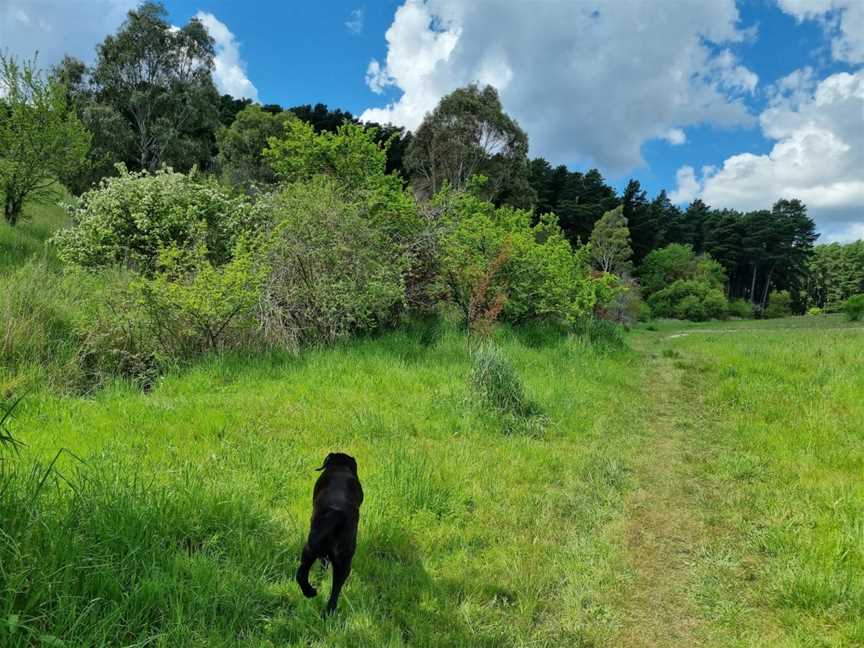 Blackwood Forest Recreation Park, Adelaide, SA